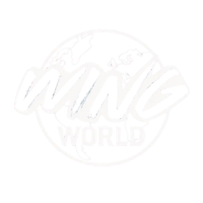 Wings World